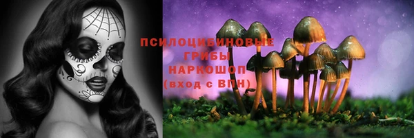 стаф Заволжье