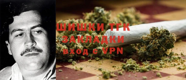 первитин Заводоуковск