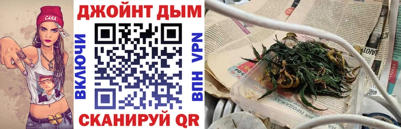 Конопля сатива  Отрадный 